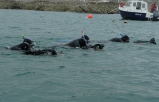 En el agua 